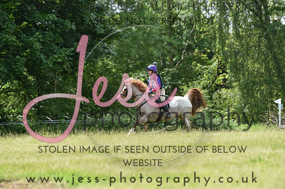 JES_8834