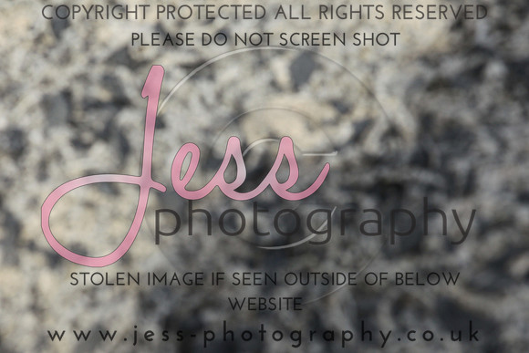 JES_6014