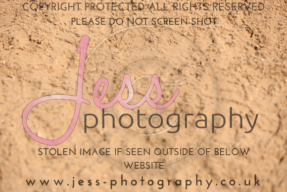 TSJ_0911