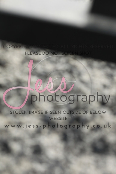 JES_6527