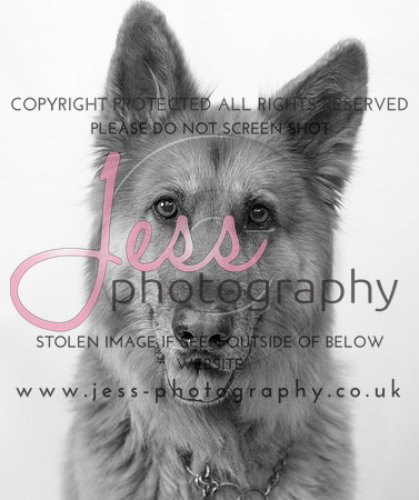 JES_6102