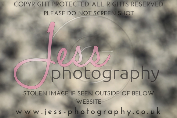 JES_5579
