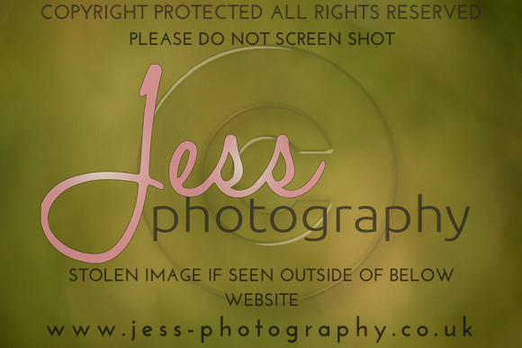 JES (354)