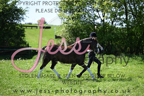TGIS (227)