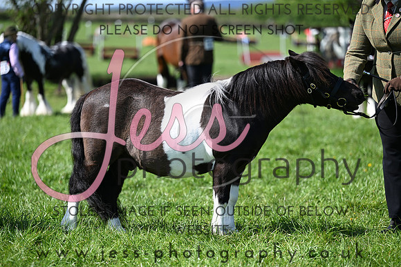 TGIS (147)
