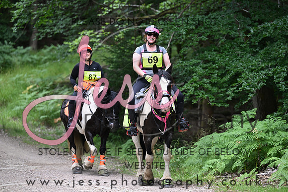 BHS (734)