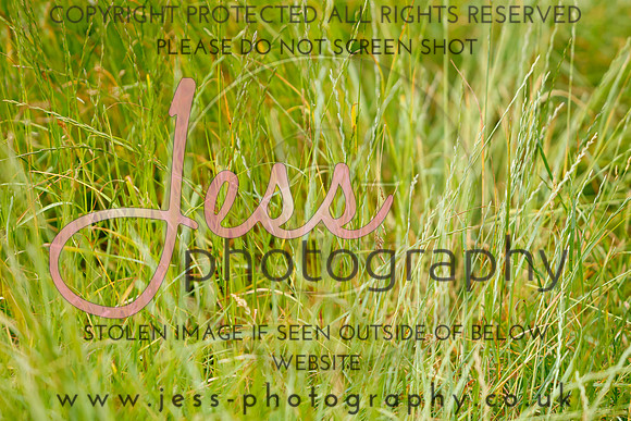 _MGM0585