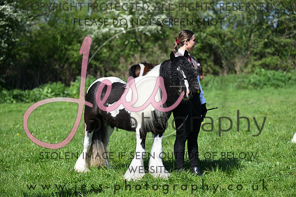 TGIS (158)