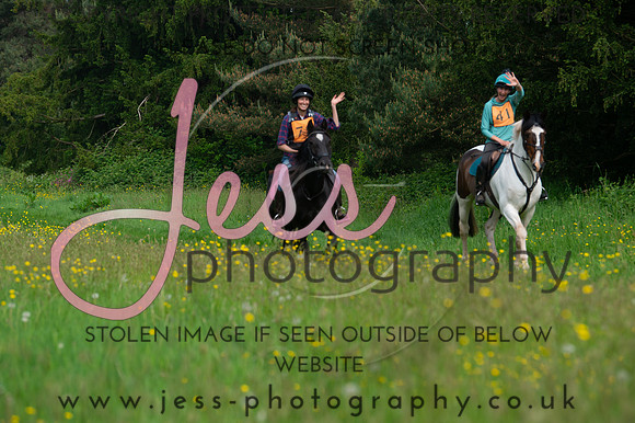 JES_8181