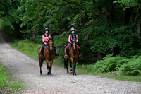 BHS (15)