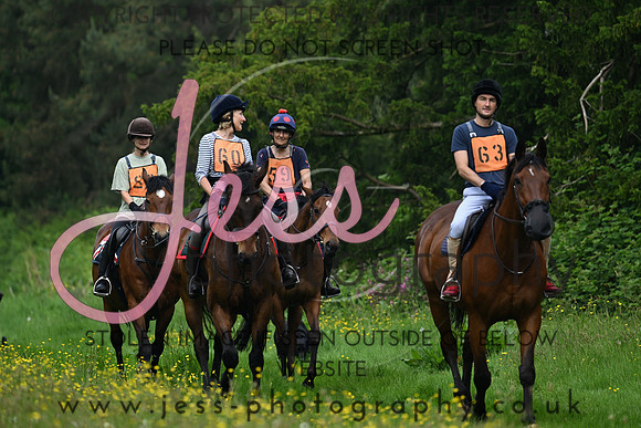 ABFR (184)