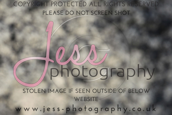 JES_5977