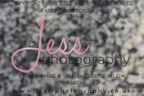 JES_5662