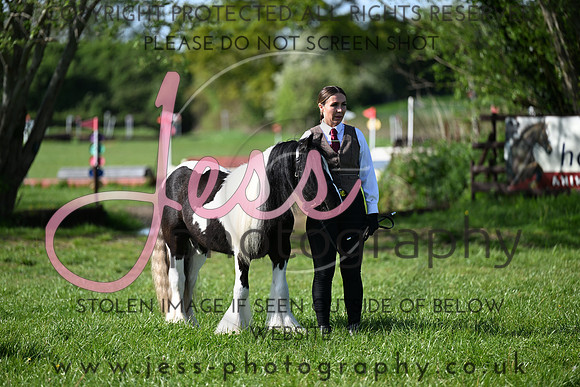 TGIS (419)