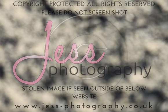 JES_5557
