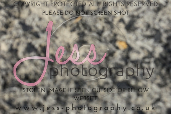JES_5964
