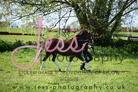 TGIS (228)