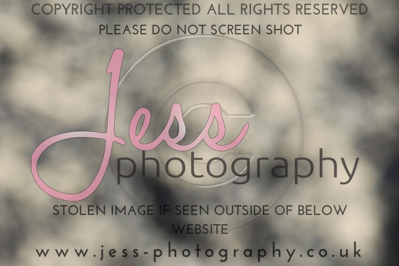 JES_5606