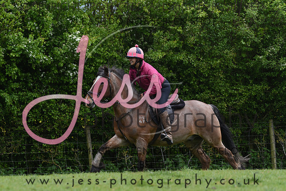 JES_4379