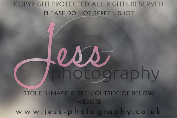 JES_5887