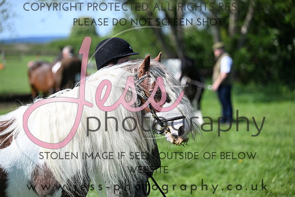 TGIS (142)