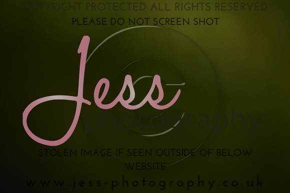 JES (314)