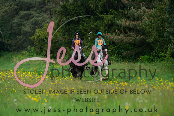 JES_8177