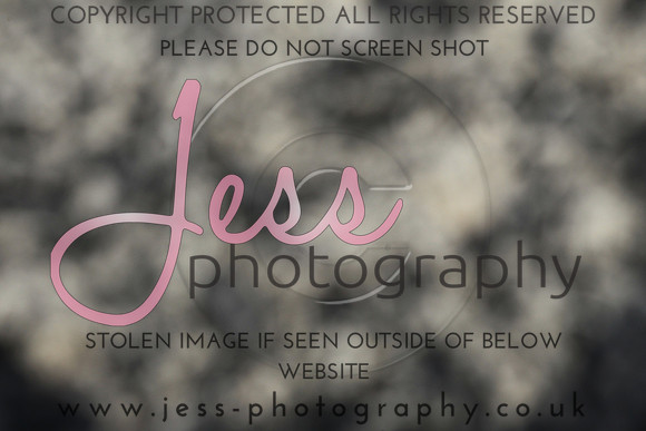 JES_5912