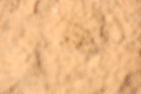 TSJ_0830