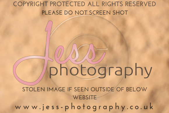 TSJ_0830