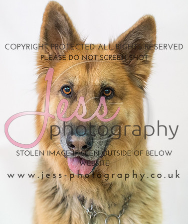 JES_6104