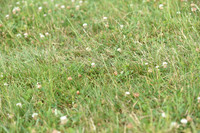 JPG_6644