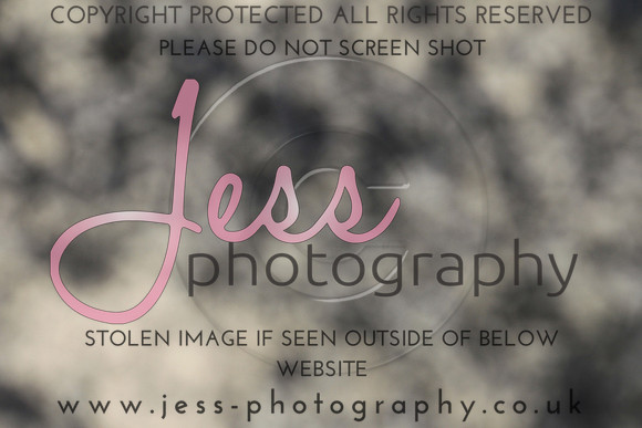 JES_5775
