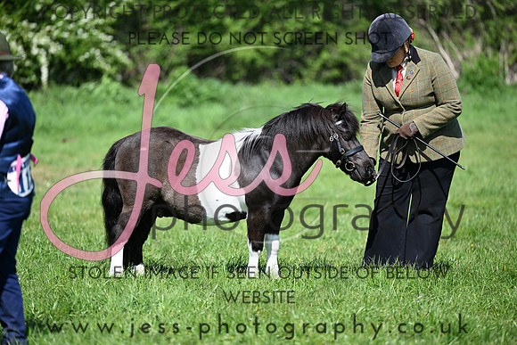 TGIS (156)