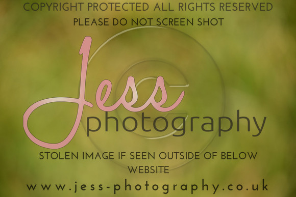 JES (30)