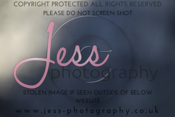 JES_5503