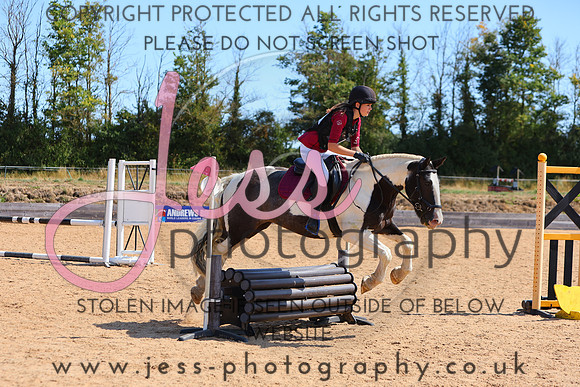 TSJ_0971