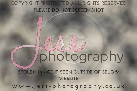 JES_5844
