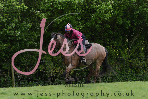 JES_4376