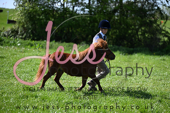 TGIS (200)