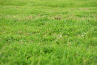 JPG_2777