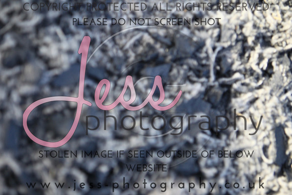 JES_5295