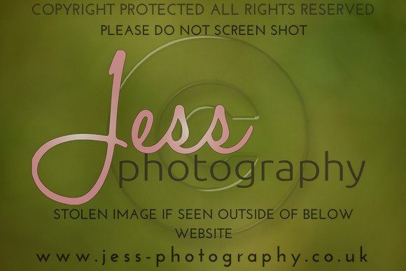 JES (131)