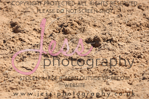 IMGM0884