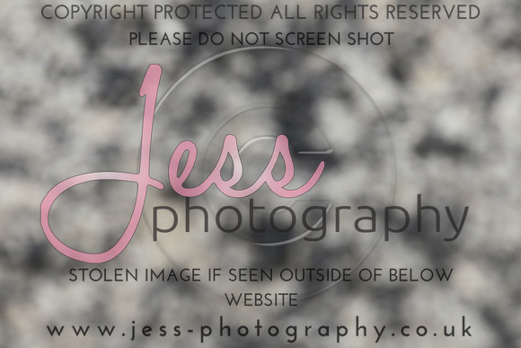 JES_6412