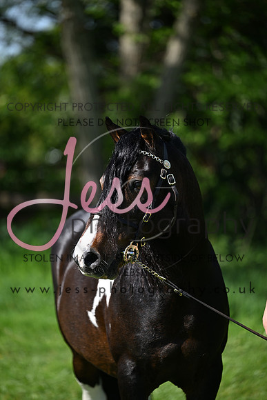 TGIS (154)