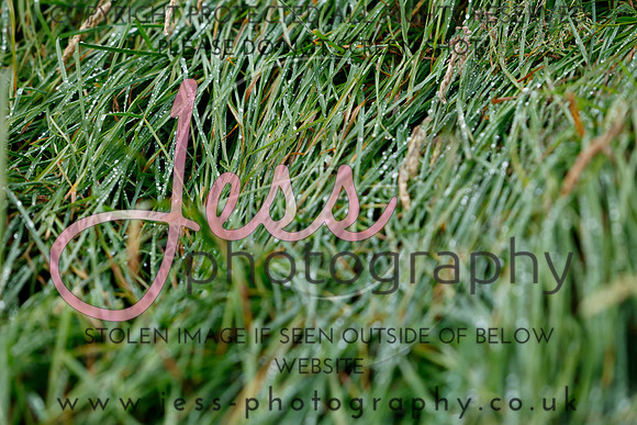_MGM0234