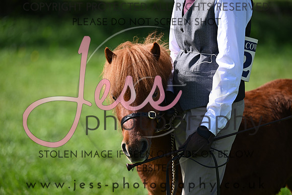 TGIS (263)