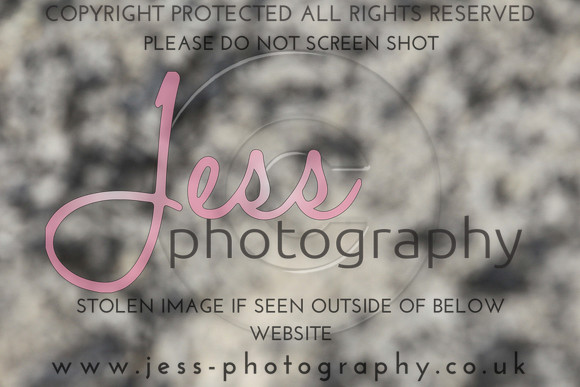 JES_6363