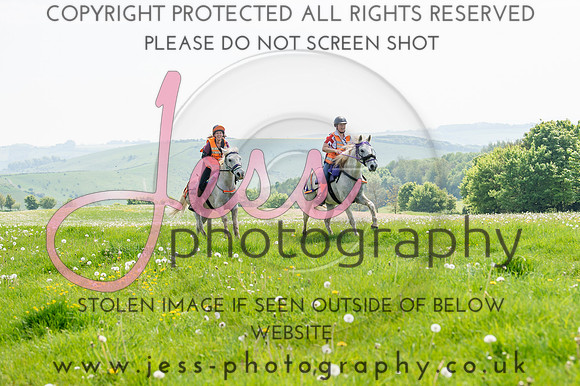 JES_8141